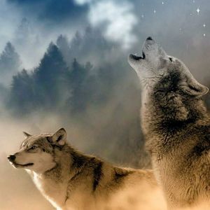 Meet your Posher, Larry